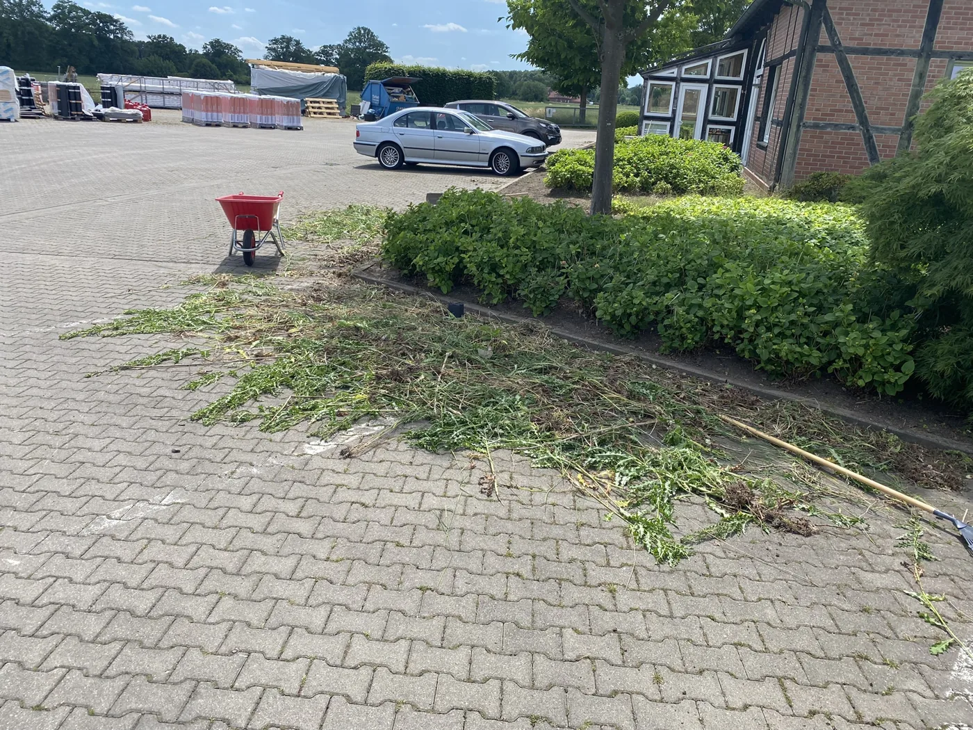 Beetpflege und Unkrautentfernung in Beeten