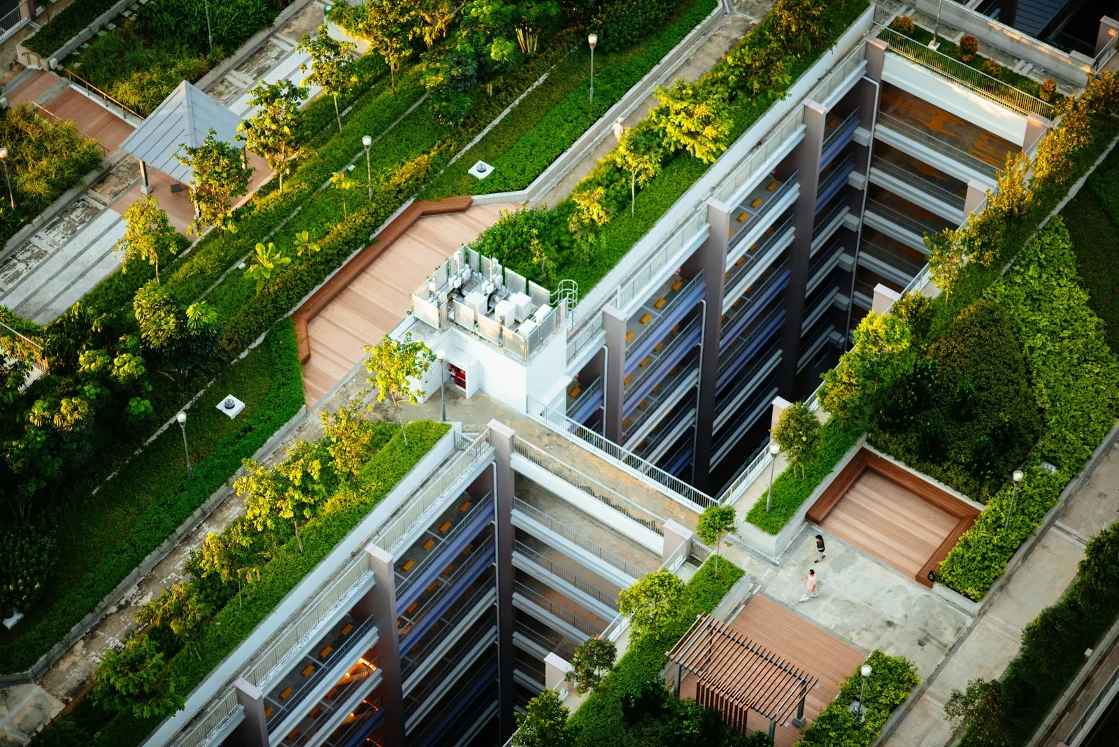 Gründächer für Gewerbeimmobilien: Nutzen und Pflege